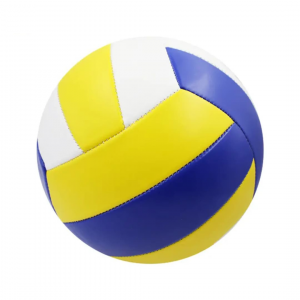 Ballon de volleyball